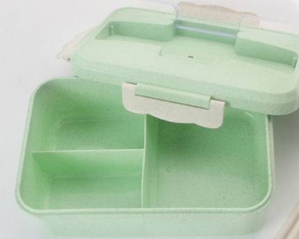 Harvest Bento Lunch Box