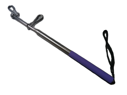 Purple Flag Pole