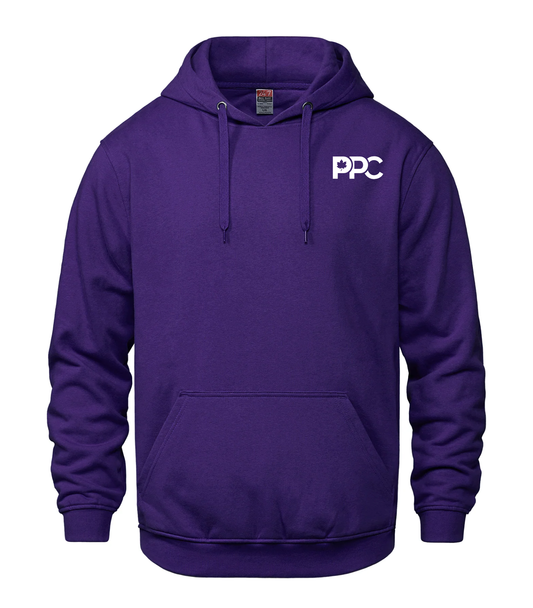 Vault - Adult Pullover Hooded Sweatshirt (Candidate)